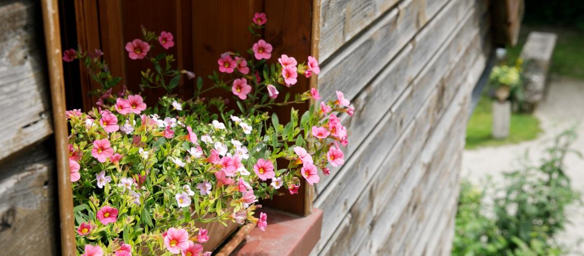 chambres-hotes-chartres chambres-hotes-chartres